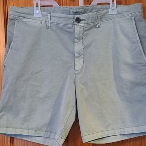 Goodfellow & Co Men's Sage Green Flat Front Shorts